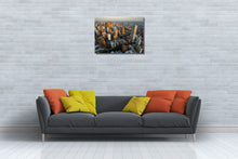 Load image into Gallery viewer, Barranquilla