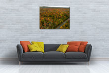 Load image into Gallery viewer, Fall