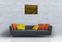 Load image into Gallery viewer, Fall