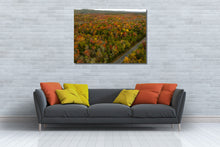 Load image into Gallery viewer, Fall