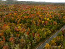 Load image into Gallery viewer, Fall