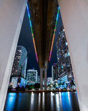 Load image into Gallery viewer, Talk of Miami - Night