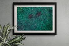 Load image into Gallery viewer, Eagle Rays