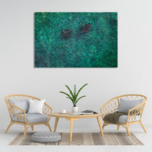 Load image into Gallery viewer, Eagle Rays