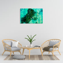 Load image into Gallery viewer, Florida Manatee