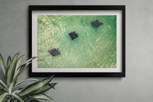 Load image into Gallery viewer, Unison