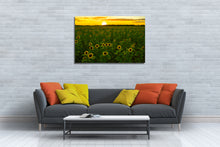 Load image into Gallery viewer, Sunflower Sunset
